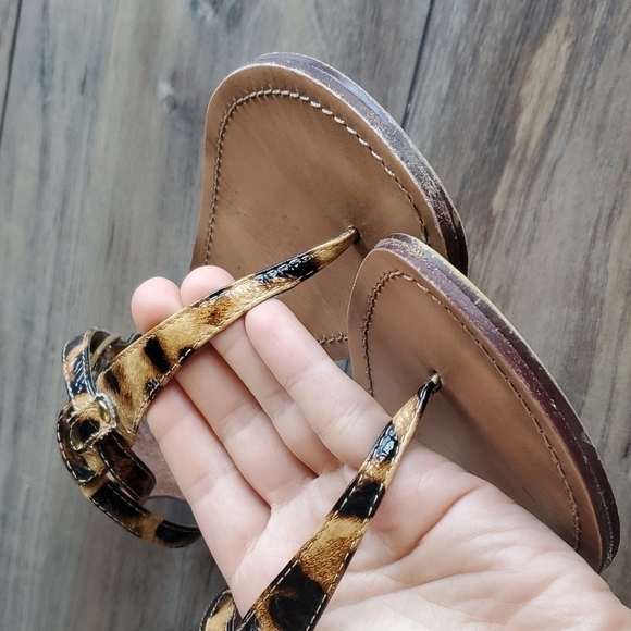 Steve Madden Women Serrious AnimalPrint T strap flat Comfort Sandals sz 6 - Picture 3 of 10